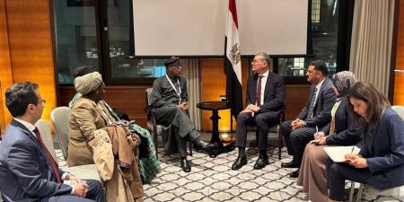 مباحثات مصرية نيجيرية لتعظيم استغلال الثروات المعدنية وجذب استثمارات كبرى