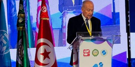 أبو الغيط: علينا وضع الضوابط التي تضمن ألا تتحول جنة الذكاء الاصطناعي إلى جحيم يهدد مستقبلنا البشري