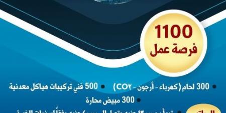 1100 فرصة عمل جديدة في مشروع الضبعة بالتعاون مع شركة "تريست روسيم"