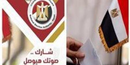 الإدارية العليا تستقبل 110 طعون على نتيجة المرحلة الثانية لانتخابات النواب