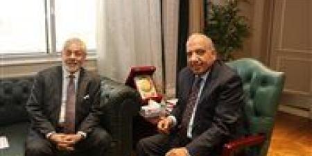 مصر والإمارات تتعاونان في "أبيدوس 2": 1000 ميجاوات طاقة شمسية و600 ميجاوات ساعة بطاريات قبل الصيف المقبل