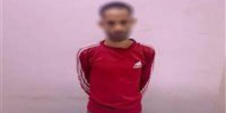 ضبط شخص بحوزته بطاقات شخصية لاستخدامها في توجيه الناخبين بقنا