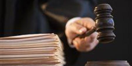 محاكمة 25 متهما بقضية "هيكل اللجان الإدارية"