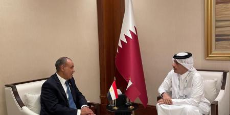 «توافق في الرؤى وغزة أبرز المناقشات».. تفاصيل لقاء وزير الخارجية مع رئيس وزراء قطر في الدوحة