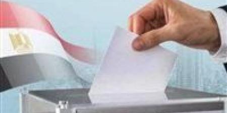 لليوم الثاني.. السفارات المصرية في الإمارات وسلطنة عُمان وأذربيجان وجورجيا تواصل استقبال الناخبين في انتخابات الدوائر المُلغاة