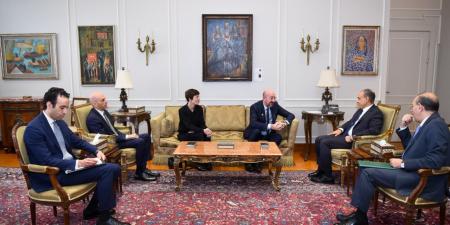 وزير الخارجية: حل الدولتين وإقامة الدولة الفلسطينية يعد الركيزة الأساسية لتحقيق الاستقرار في المنطقة