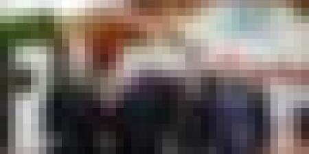 تدشين سفارة الجزائر ببراتسلافا في سلوفاكيا