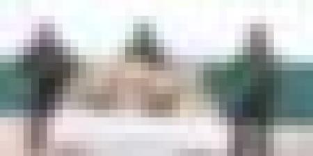 إحباط محاولات إدخال أزيد من 26 قنطارا من الكيف عبر المغرب