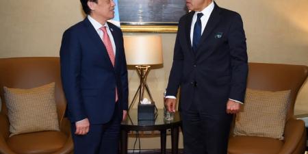 وزير الخارجية: مصر حريصة على استضافة مركز عالمي لتخزين وتوريد وتجارة الحبوب لتعزيز أمن الغذاء