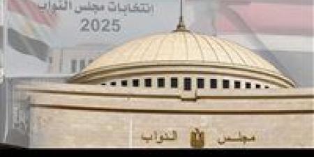 انتخابات مجلس النواب 2025..فتح باب التصويت في الدوائر الـ 30 الملغاة