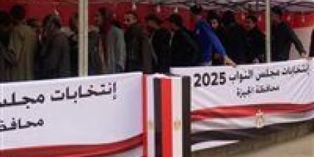 انطلاق التصويت في اليوم الثاني والأخير بالدوائر الملغاة ال ٣٠