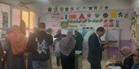 انتخابات مجلس النواب.. إقبال كثيف في لجنة صفط الخمار بمحافظة المنيا