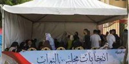 المواطنون يتوافدون على اللجان الانتخابية بالجيزة للتصويت في انتخابات النواب 2025
