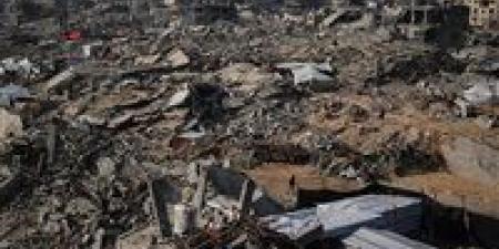 نائبة تحذر: غزة تواجه “كارثة إنسانية ممنهجة”.. والمجتمع الدولي شريك بالصمت