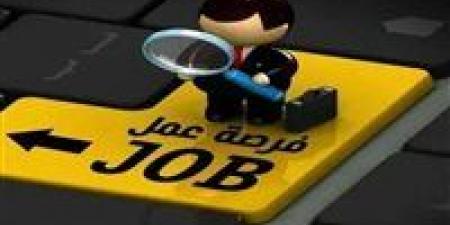 وظائف وزارة الكهرباء.. الشروط والمستندات المطلوبة