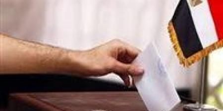 البداية من نيوزيلندا.. انطلاق تصويت المصريين بالخارج في جولة الإعادة للمرحلة الثانية