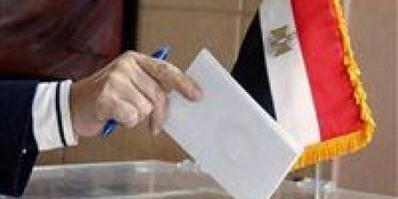 فتح لجان التصويت بالسفارات المصرية في الإمارات وسلطنة عُمان وأذربيجان وجورجيا لاستقبال الناخبين في جولة الإعادة بانتخابات مجلس النواب 2025