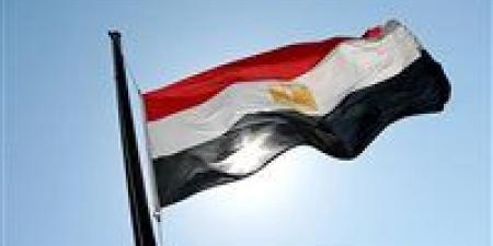 «حصاد الدبلوماسية المصرية».. الخارجية تكشف بالأرقام جهود تطوير الخدمات القنصلية خلال عام 2025