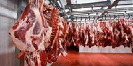 أسعار اللحوم والدواجن في منافذ التموين.. وفرة في المعروض واستعدادات مبكرة لرمضان