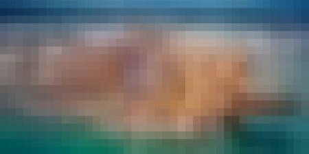 توسّيع الخط البحري التجاري الجزائري الكرواتي ليشمل ميناء كوبر السلوفيني