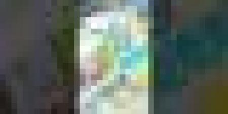 رئيس الجمهورية يؤكد مرافقة الصناعة العسكرية للمشاريع الاستراتيجية الكبرى للبلاد .. #شاهدوا