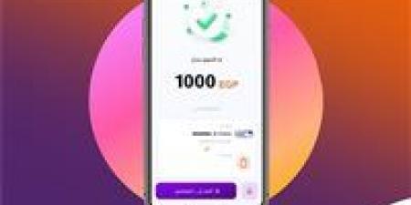 الحد الأقصى للتحويل عبر إنستاباي بعد قرار البنك المركزي 2025