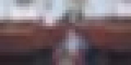 التقرير التمهيدي للجنة الشؤون القانونية يبرز ضمانات مشددة في تعديل قانون الجنسية الجزائرية