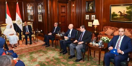 وزير الخارجية: أمن السودان جزء لا يتجزأ من الأمن القومي المصري