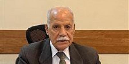 النائب محمد أبو العلا: تحركات الرئيس السيسي الخارجية امتداد للدور القومي لمصر ودفاع ثابت عن قضايا الأمة