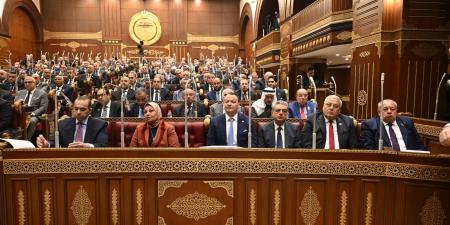 رئيس مجلس الشيوخ: حمايةَ مقدراتِ قطاع الكهرباء من أيِّ استنزافٍ باتَتْ ضرورةً قصوى تستوجبُ تحصينَهُ بسياجٍ تشريعيٍّ منيعٍ