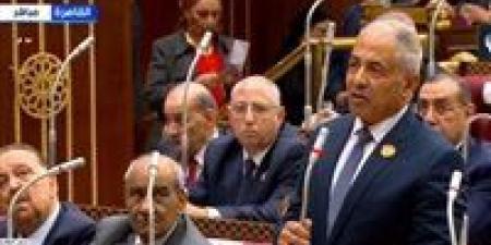 وكيل مجلس الشيوخ يطالب بإعادة النظر في الغرامات الواردة بتغليظ عقوبة سرقة التيار الكهربائي