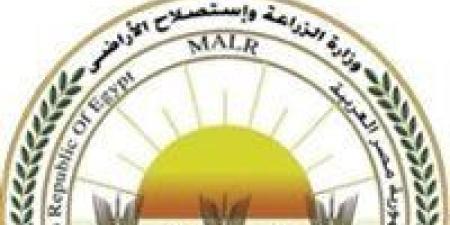 الزراعة: أراضي الوقف لا تمثل سوى 1% من الرقعة الزراعية ورفع إيجارها لن يؤثر على أسعار المحاصيل