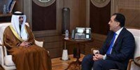 رئيس الوزراء يستقبل سفير دولة الإمارات العربية المتحدة لدى مصر