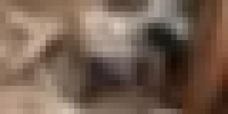 ولاية الجزائر توضح بخصوص انهيار جزئي بمسجد سيدي محمد الشريف بالقصبة