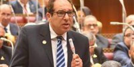 النائب حسام الخولي بمناقشات المهن الرياضية: الرياضة تحولت إلى صناعة هامة تدر ربحا