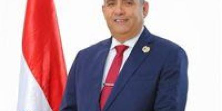 برلماني: تعديلات قانون الكهرباء تعكس التوازن بين ضبط المرفق وحماية المواطنين