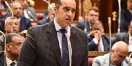 محمود فوزي: تنظيم النقابات حق أصيل للدولة ولا مساس باستقلالها