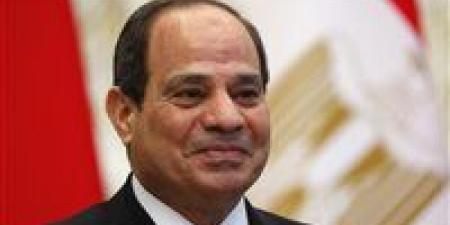 الرئيس السيسي: مصر مستعدة لتعزيز الاستثمارات في تنزانيا وتنفيذ مشاريع البنية التحتية