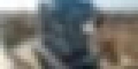 بيان هام من وكالة "عدل" بخصوص إختيار نوعية الشقق في "عدل 3"