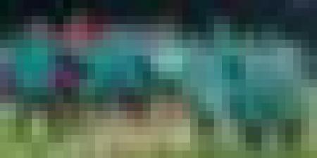 المنتخب الوطني يتقدم في ترتيب الفيفا