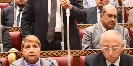 رئيس الوفد يوافق على تقرير تعديل قانون نقابة المهن الرياضية