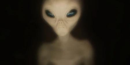 «لا نعيش وحدنا في الكون».. طيار يثير ضجة بعد لقائه بكائنات فضائية ويصف شكلها