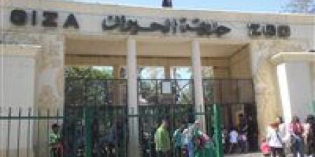 بعد تطويرها.. موعد افتتاح حديقة الحيوان بالجيزة وخطة ربطها بـ حديقة الأورمان