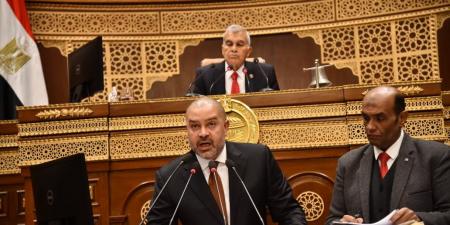 الشيوخ يوافق مبدئيا على تعديلات قانون نقابة المهن الرياضية.. ونواب: ينظم التخصصات ويمنع الفوضى في الانضمام للمهنة ومطالبات بإنشاء شعبة للتسويق الرياضي