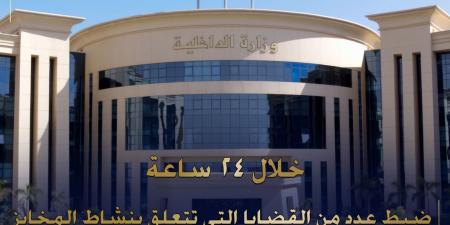 غرامة تصل لـ 2 مليون جنيه.. عقوبات قانونية صارمة لمخالفي أسعار السلع الأساسية