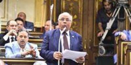 النائب عطية الفيومي: ارتفاع الرسوم نتج عنه 5.5 مليون نشاط غير مرخص