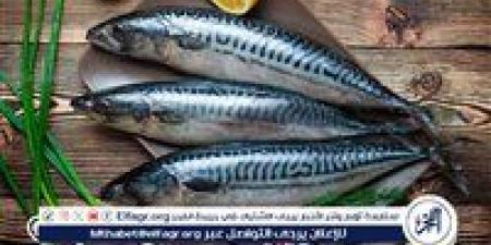 اسعار السمك اليوم الثلاثاء 23ديسمبر 2025 فى المنيا