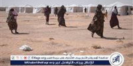 تصعيد عسكري مستمر في السودان: القوات المسلحة تسيطر على مناطق استراتيجية والدعم السريع يتكبد خسائر كبيرة