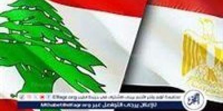 برلماني لبناني سابق: مصر حققت استقرارًا اقتصاديًا نتمنى أن تصل إليه بيروت