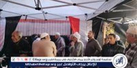 إعادة الـ19 دائرة.. إغلاق لجان الاقتراع بسفارات مصر في نيوزيلندا وأستراليا وكوريا واليابان